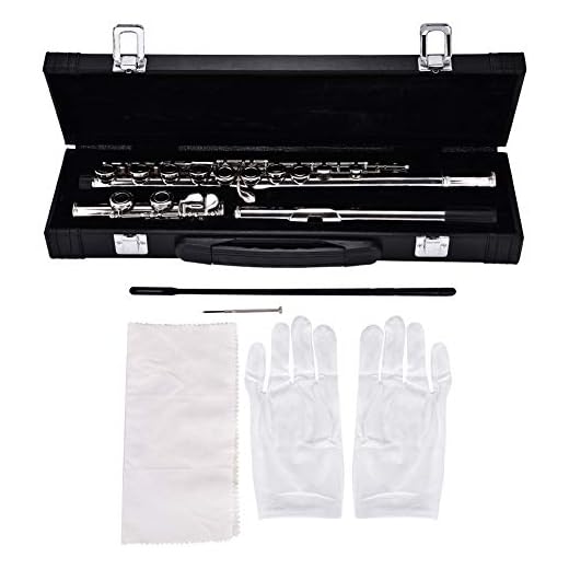 Flauta en C Flauta Transversal de 16 Orificios Cerrados, Flauta Transversal Plateada con Cuproníquel de 16 Orificios Llave en C Instrumentos de Viento de Madera con Grasa de