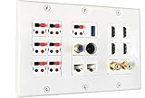 diyTech Premium Speaker Wall Plate, 7 Speaker, 4 HDMI, 2 RCA Subwoofer, 2 Cat6 Ethernet, 1 USB 3.0,...