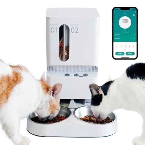 y2ނ̃Snoza L 2C  a  ybg   5Le ^C}[ ȒPݒ