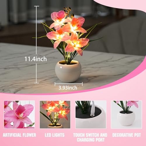 Image of Rechargeable Orchid Artificial Flower Lamp, Desk Bedroom Bar Coffee Shop Light Lamp Decor Night Light Gifts for Women Mom Grandma Girlfriend Friend Wife Birthday Christmas Valentines Mothers Day