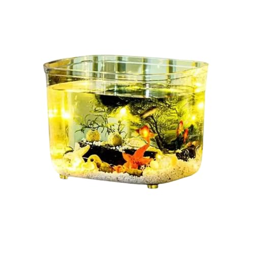 Wt vX`bN eE AN ϗtA CeA e e[u ANAE {E | e  _J  CeA ԕr  t[x[X (傫lp^)