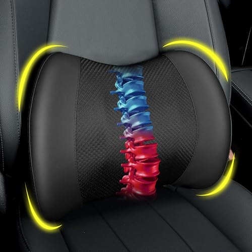 Lofty Aim Lumbar Support Pillow...