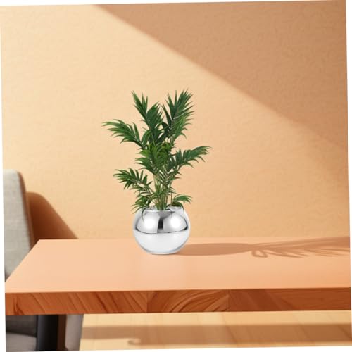 Composition terrarium de qualité supérieure en vase de verre - 6