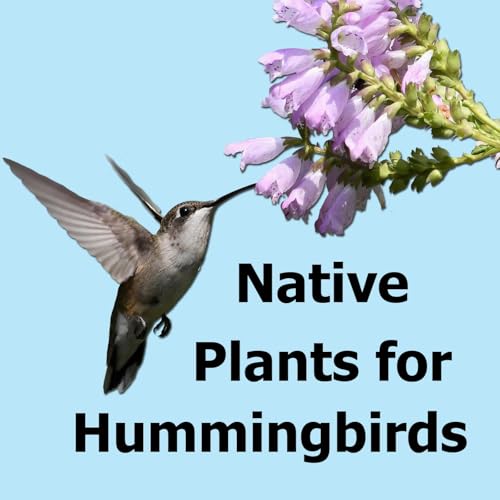 Native Plants That Attract Hummingbirds to Eastern U.S. Gardens
