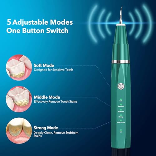 Love begans Kit di Pulizia dei Denti per Animali Domestici, Spazzolino da Denti ad Ultrasuoni con 5 modalità, Kit di Rimuovere la Placca Tartaro per Denti per Cani e Gatti, Verde