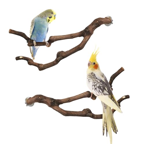 Image of PINVNBY Natural Parrot Perch Grape Wood Bird Stand Pole Parakeet Paw Grinding Fork Chewable Climbing Branches Toy Bird Cage Accessories for Budgies Conures Cockatiels Lovebirds (2 PCS, 5.9IN)