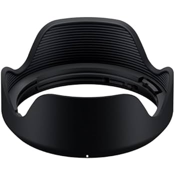 フィルタ付TAMRON 28-200mm F/2.8-5.6Di III RXD Amazon.com : TAMRON 28-200mm F/2.8-5.6 Di III RXD for Sony E