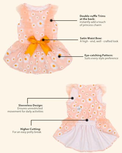 Image of CuteBone Cream Daisy Pet Dress for Small Dogs, Cats - Ruffled Sleeves - Orange Satin Bow - Spring Garden, Photo Dress