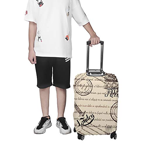 Housse de protection lavable Big Ben contre rayures de valise