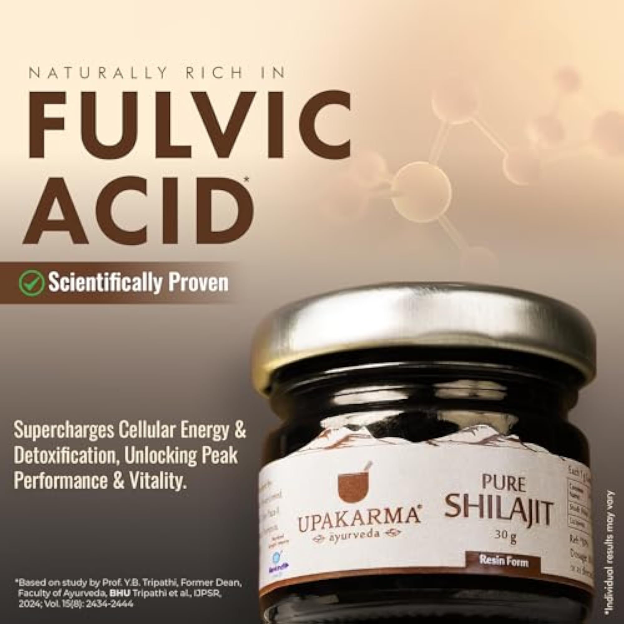 UPAKARMA Pure Shilajit Resin, 30g