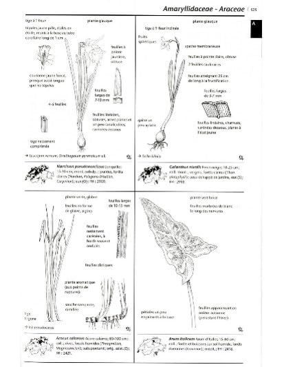 Flora vegetativa 3eme édition