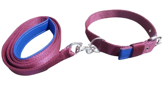 Dog Neck Collar Belts and Leash Set Color Purple with Padding Blue Size Adjustable Durable and Stylish for all Breed Dogs (B0CLMG8RX6) Amazon Price History, Amazon Price Tracker