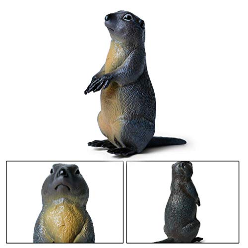 Marmotte sculpture extérieur jardin cadeau idéal enfants