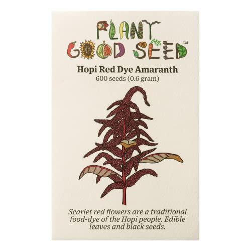 Plant Good Seed Organic Hopi Red Dye Seeds for Planting: Edible Leaves and Black Seeds, Scarlet Red Flowers - 600 Seed Packet