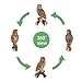 RKGOMDMU 13.3 - inch Owl Decoy Decor Outdoor Statue. Ideal for Animal Statues Courtyard Lawn Decoration, Sculptures for Yard and Grassland Adornment, Housewarming Gift.