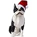 Sandicast Boston Terrier Sculpture, Blanc, Noir, Rouge., Ornament