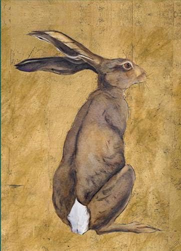 Jackie Morris Notecards in a Wallet Cards – September 2, 2014