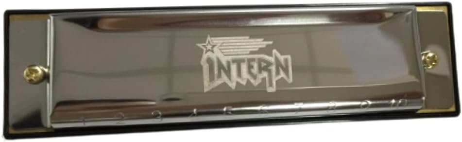 Intern KEY C 10 Hole Diatonic Blues Mouth Organ Harmonica for Professional Player, with case and cleaning cloth (Silver) (INT-HA01C)