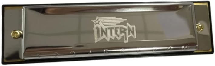 Intern KEY C 10 Hole Diatonic Blues Mouth Organ Harmonica for Professional Player, with case and cleaning cloth (Silver) (INT-HA01C)