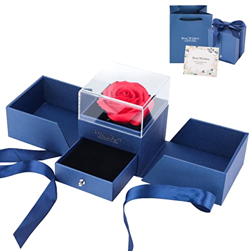 Hippodance Rosa Eterna, Rosa Eterna Caja de Joyería Ramos, Caja de Joyería de San Valentín Regalos para Novia, Esposa, Madre, Aniversario, San Valentín, Día de la Madre,Navidad Cover