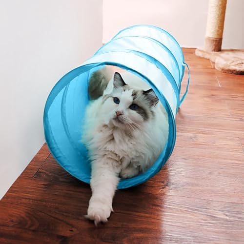 iCAGY Cat Tunnel for Indoor Small Cats Kittens Rabbits, Foldable ...