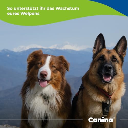 Canina Welpenkalk Pulver, 300g