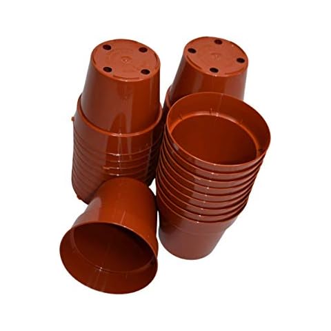 3" Brown Plastic Greenhouse Pot, Set of 80 Cover