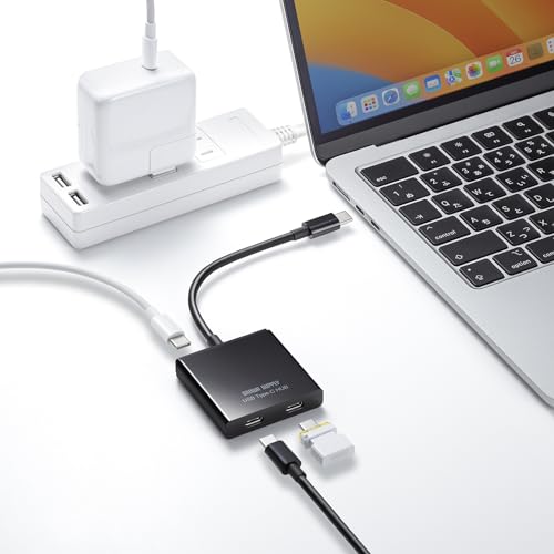 サンワサプライ USB Type-C ハブ（C×2） USB-3TCP12BK