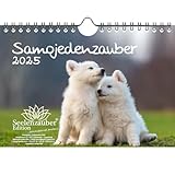 Calendrier Samoyède A5 pour chiots et chiens 2025 Seelenzauber