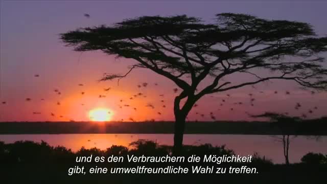 Lipton Früchtetee Hagebutte Himbeere (fruchtig und herb mit Hibiskusblüten), 3er Pack (3 x 25 Teebeutel) – Bild 8