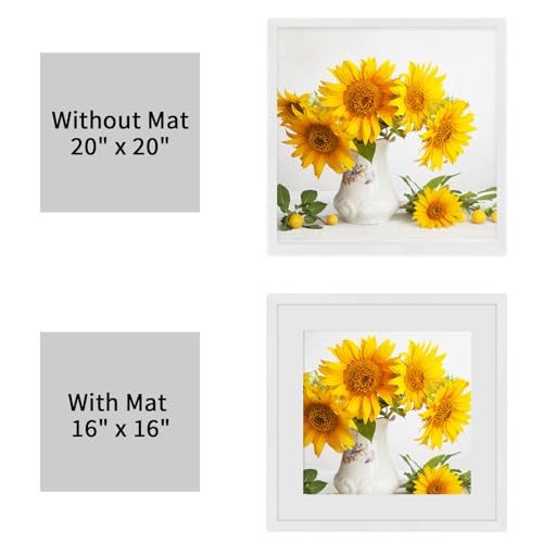 puthiac 20x20 White Picture Frames for Wall - Minimalist 20x20 Oak Wood Frames, 20"x20" Picture Frame Wood, Natural Solid Wooden Picture Frames for Wall Art Photo and Prints (1 Pack, White)