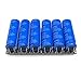 DIIOOMIEEU 16V 1.6F Capacitor Module 2.7V 10F Super Ultracapacitor for