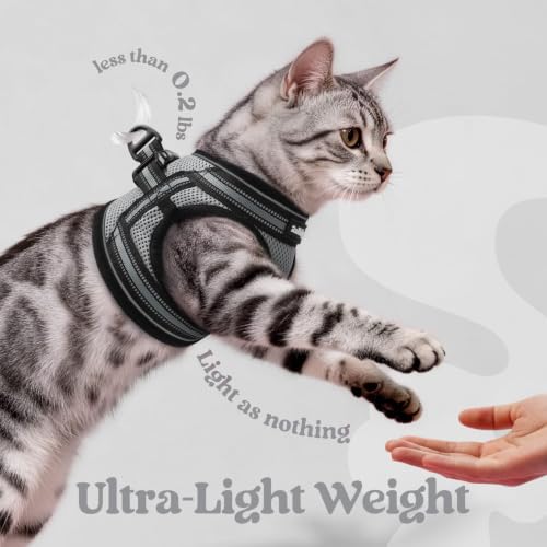 Image of rabbitgoo Cat Harness and Leash Set, Step-in Soft Vest, Grey | Escape Proof, Lightweight, Easy-on & Adjustable, Hook & Loop with Buckle, Reflective, for Small Cats Walks, L