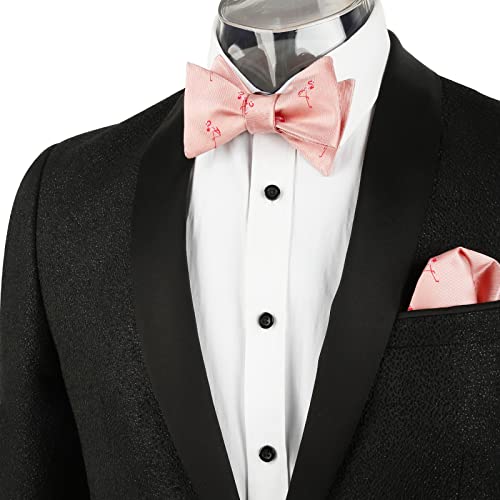 Image of Alizeal Mens 2pcs Solid Self-tied Bow Tie Set