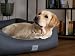 TrendPet Runa, Orthopädisches Kunstlederbett für Hunde, modisch in Kupfer und Grau (Grau, 100x75x30 cm)