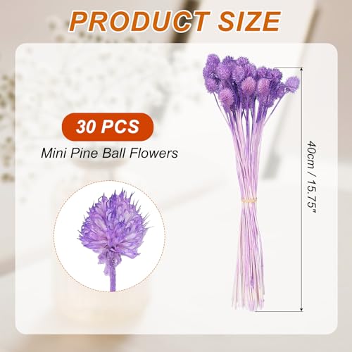 Flores secas mini bola de pino 16 pulg, 30 unidades miniatura 2