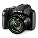 Panasonic LUMIX FZ80D 4K Long Zoom Digital Camera (18.1 MP, 60X, 20-1200mm Lens, Black) Bundle with 64 GB Memory Card, Camera System Gadget Bag with Photography Gadget Bag, Tripod, and Cable (5 Items)