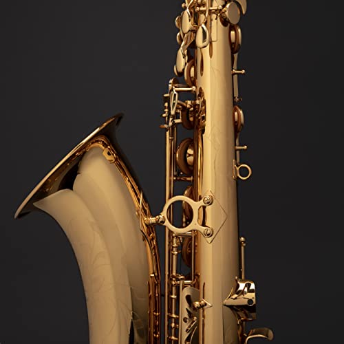 Image of Saxophone Herche Superior Bb Tenor Saxophone X3 | Professional Instruments for All Levels | High F# Key | Educator Approved & Service Plan