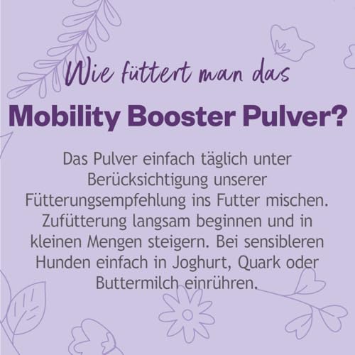 GRAU - das Original - Hokamix Mobility Booster, 1er Pack (1 x 350 g), Ergänzungsfuttermittel für Hunde