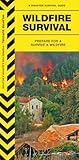 Wildfire Survival (Outdoor Recreation and Survival)