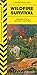 Produktbild Wildfire Survival: Prepare For & Survive a Wildfire (Disaster Survival Guide)