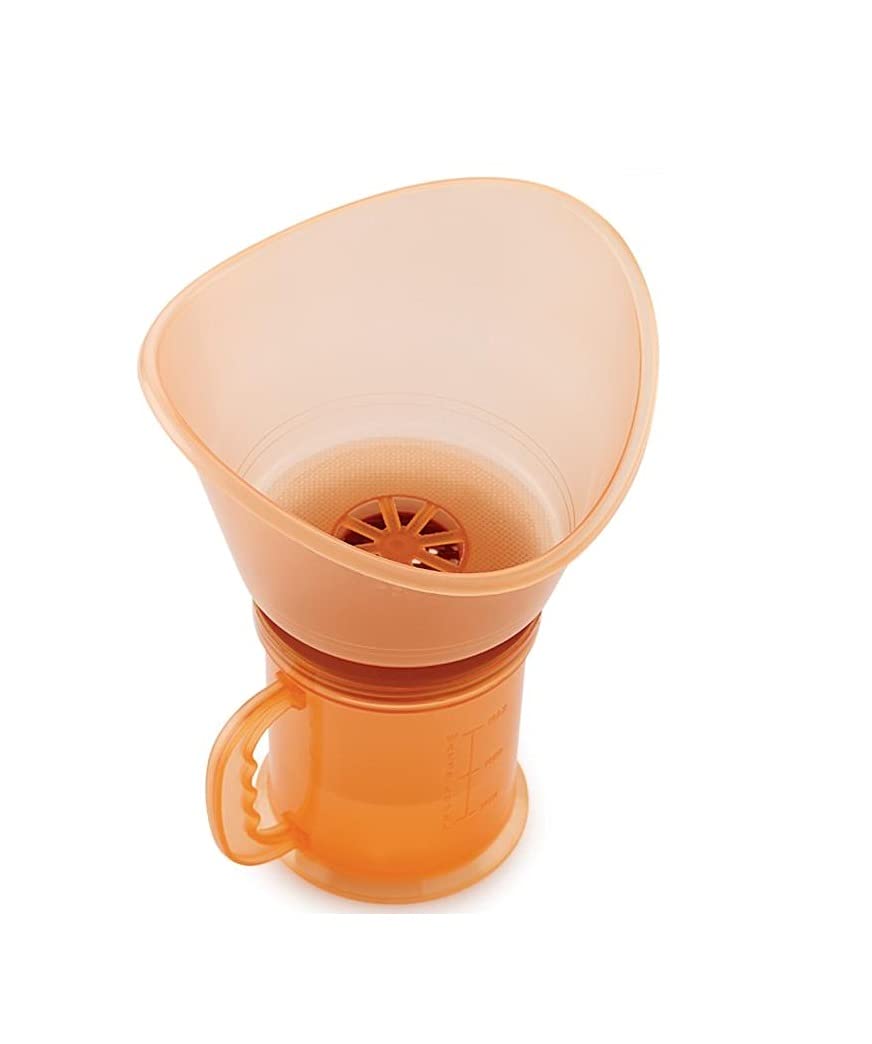 Liza 2 In 1 Steam Vaporizer, Nose Steamer, Cough Steamer, Nozzle Inhaler & Nose vaporizer machine for cold and cough (Brown)