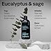 ATTITUDE Men's Shampoo and Conditioner 2-in-1, Scalp Care for Build Up & Oily Hair, 97% Natural Origin Ingredients, EWG Verified, Eucalyptus & Sage, 14 Fl Oz (Pack of 3)