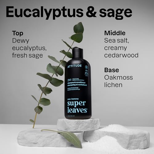 Image of ATTITUDE Men's Shampoo and Conditioner 2-in-1, Scalp Care for Build Up & Oily Hair, Refresh With Peppermint & Willow Extract, 97% Natural Origin Ingredients, EWG Verified, Eucalyptus & Sage, 32 Fl Oz