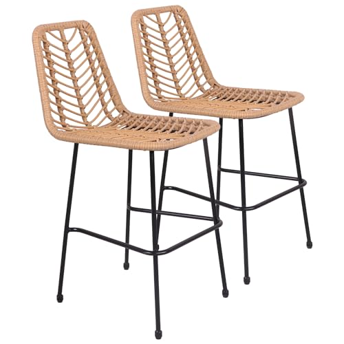 Happy Garden Lot de 2 tabourets de Bar en rotin synthétique OKA avec Repose-Pieds, Tabourets avec Dossier Marron