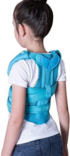 p qp Lwh~ ҂̍p w㕔u[X pxg w̔w̎pҒŃT|[gAu[X