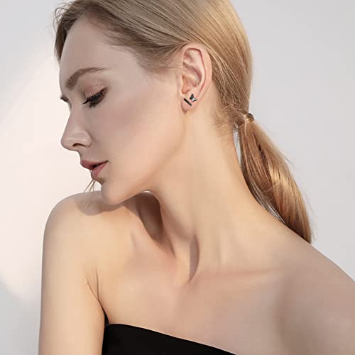 Lolias 21Pairs Flat Back Earrings For Women 20G Tiny Cartilage Earrings Stud Earrings For Cartilage Tragus Daith Helix Ear Piercing Comfortable Screw Back Earrings Pack,Blace #TOP4