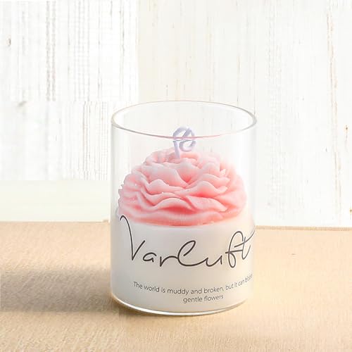 Scented Candles Jar Winter Fall Jar Candle in Glass Soy Bean Aromatherapy Candle for Home Decor Non Toxic Fragrance Candle Holiday Birthday Christmas Gifts for Women and Friends Aesthetic Candle