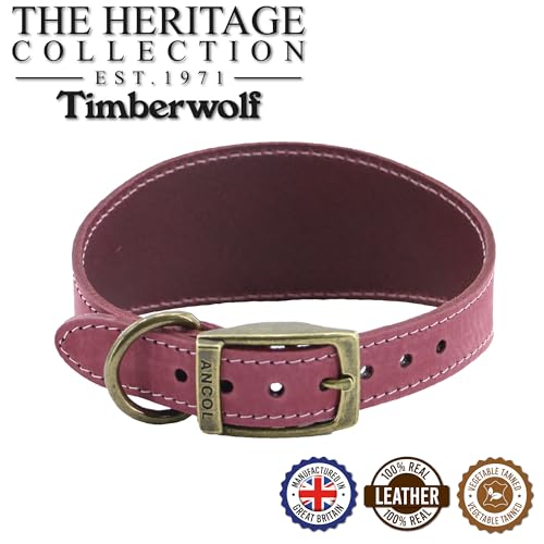 Ancol Timberwolf Windhund-Halsband, Leder, Himbeerfarben, 34-43 cm