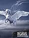 Produktbild Sketchbook: Pegasus: 8.5 x 11 Inches - 200 Blank Pages with Borders